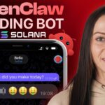 Build a Trading Bot With AI using OpenClaw and Claude