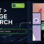 Nemotron ColEmbed V2: AI That Searches Images Using Text