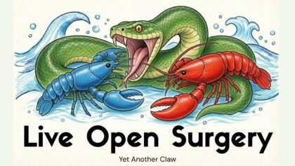 OpenFang: Hype or Real? Open Surgery of Yet Another Claw Variant