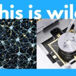 The Matrix is coming