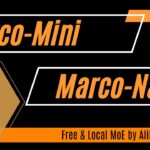 Marco-Nano & Marco-Mini: Alibaba’s Insane Sparse MoE Models: Run Locally